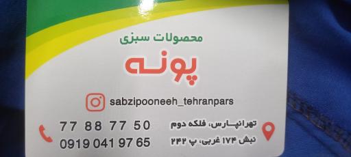 عکس سبزی خرد کنی پونه
