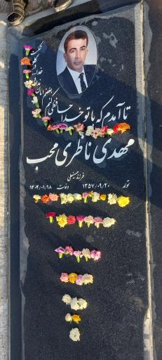 عکس قطعه 309