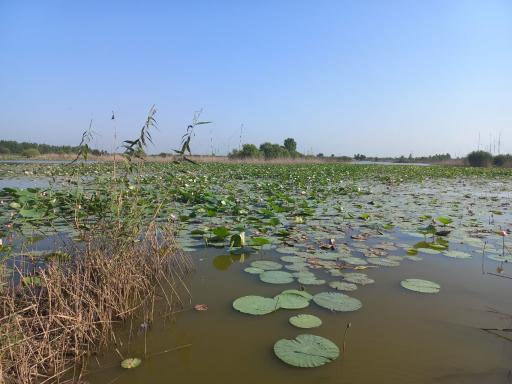 عکس تالاب اجاکسر