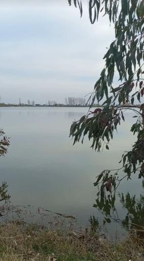 عکس تالاب اجاکسر