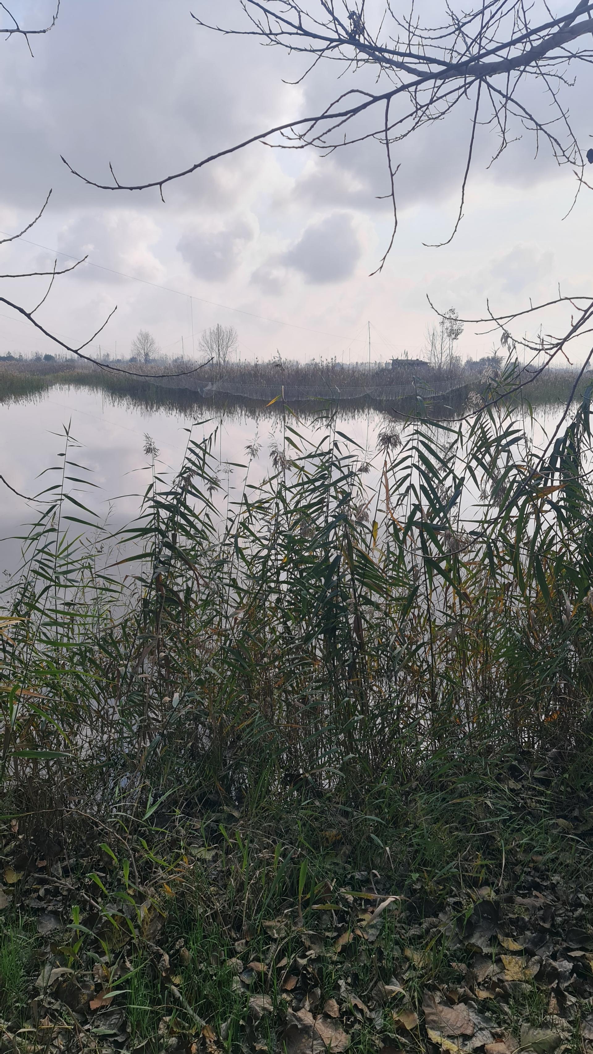 عکس تالاب اجاکسر