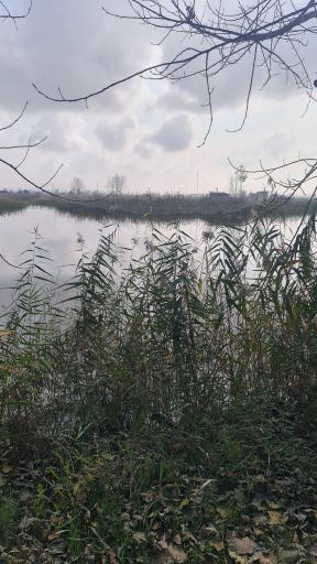 عکس تالاب اجاکسر