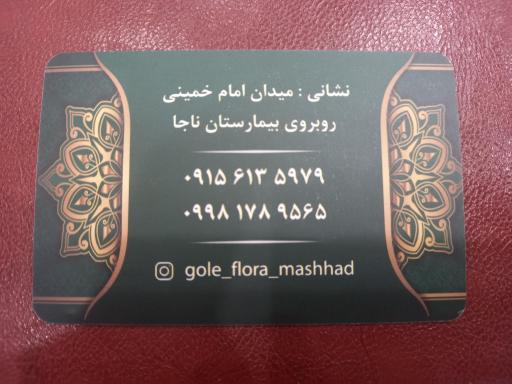 عکس گل فلورا