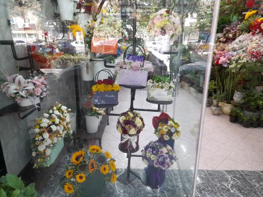 عکس گل فلورا