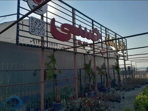 عکس باغ گل و گیاه حبیبی