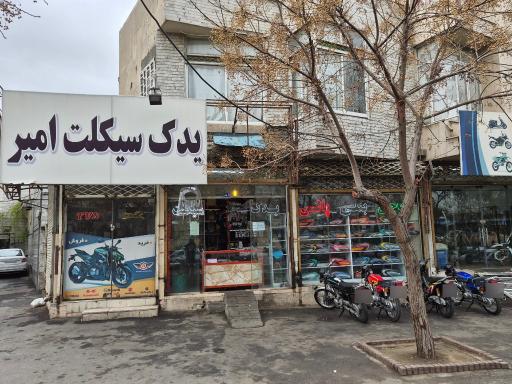 امیر یدک سیکلت