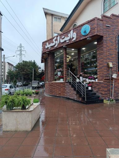 عکس گل فروشی وایت ارکید