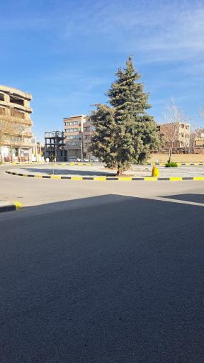 عکس فلکه نسیم