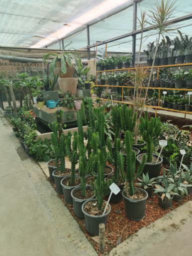 عکس باغ گل و گیاه حبیبی