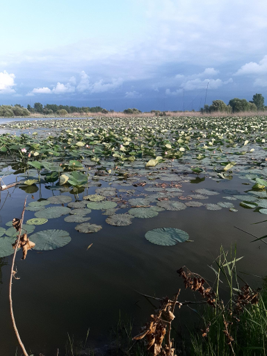 عکس تالاب اجاکسر