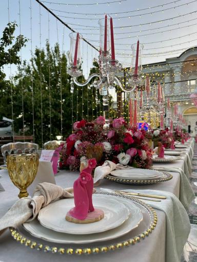 عکس باغ vip آقای تشریفات