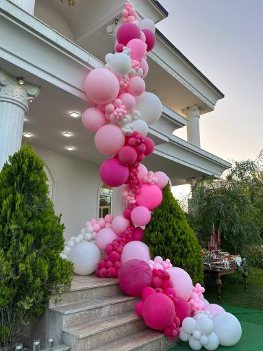 عکس باغ vip آقای تشریفات