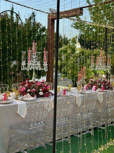 عکس باغ vip آقای تشریفات