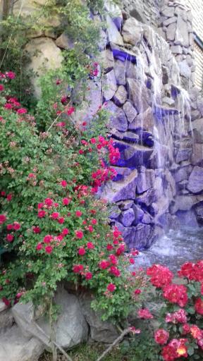 عکس لمکده شب‌های دولت‌آباد