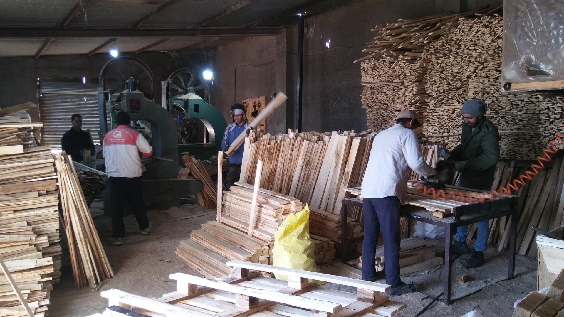 عکس پالت سازی آوند چوب 