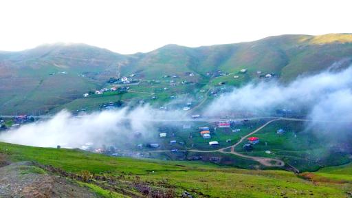 عکس اسب بونی