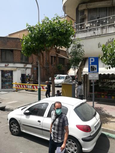 عکس فروشگاه اسباب بازی طلا 