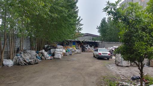 عکس ضایعات خزر 