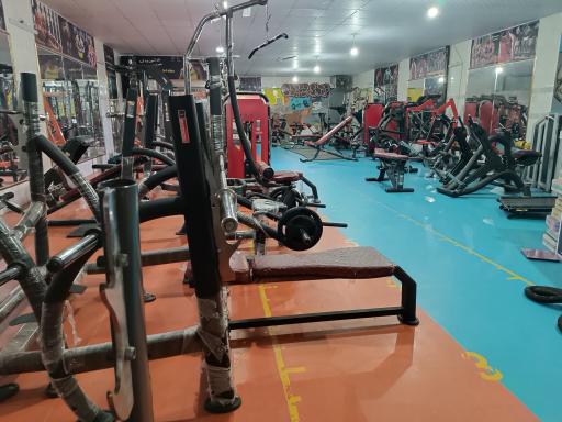 عکس باشگاه بدنسازی و تناسب اندام بخشی 