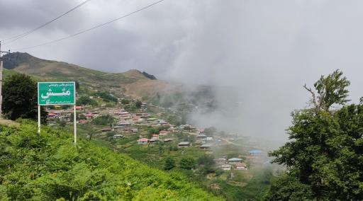 عکس اسب بونی