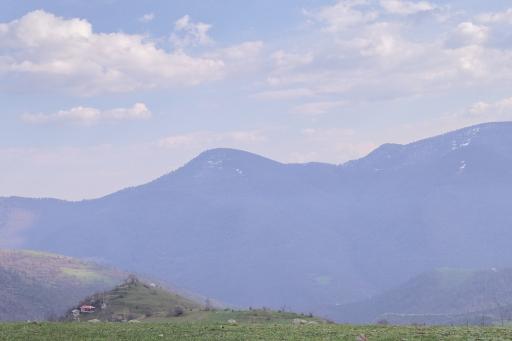 عکس اسب بونی