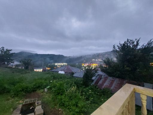 عکس اسب بونی