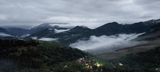 عکس اسب بونی