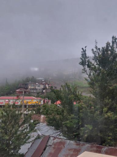عکس اسب بونی