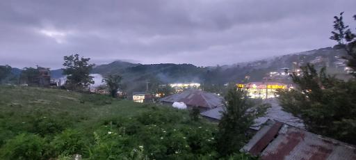عکس اسب بونی