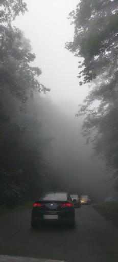 عکس اسب بونی
