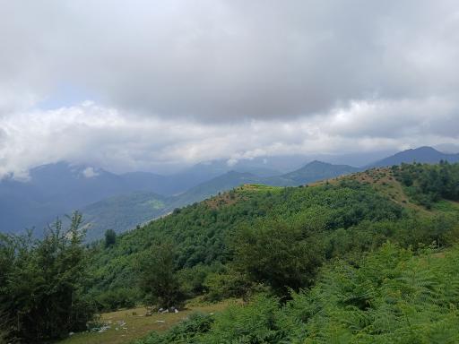 عکس اسب بونی