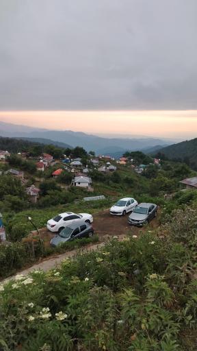 عکس اسب بونی