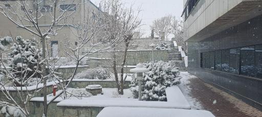 عکس سازمان حفاظت محیط زیست