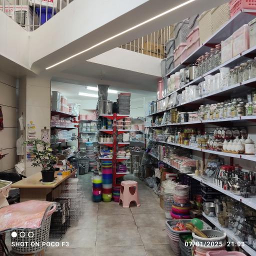 پلاسکو دوستی 