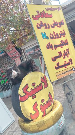 عکس اتوسرویس سعادتی