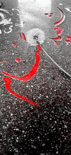 عکس یادمان شهدای گمنام