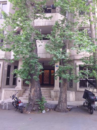 دندان پزشکی دکتر علیزاده