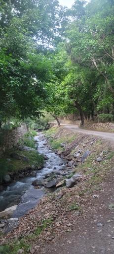 عکس مجموعه توریستی آبشار درود