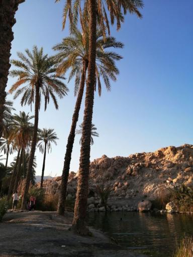 عکس چشمه سبزپوشان