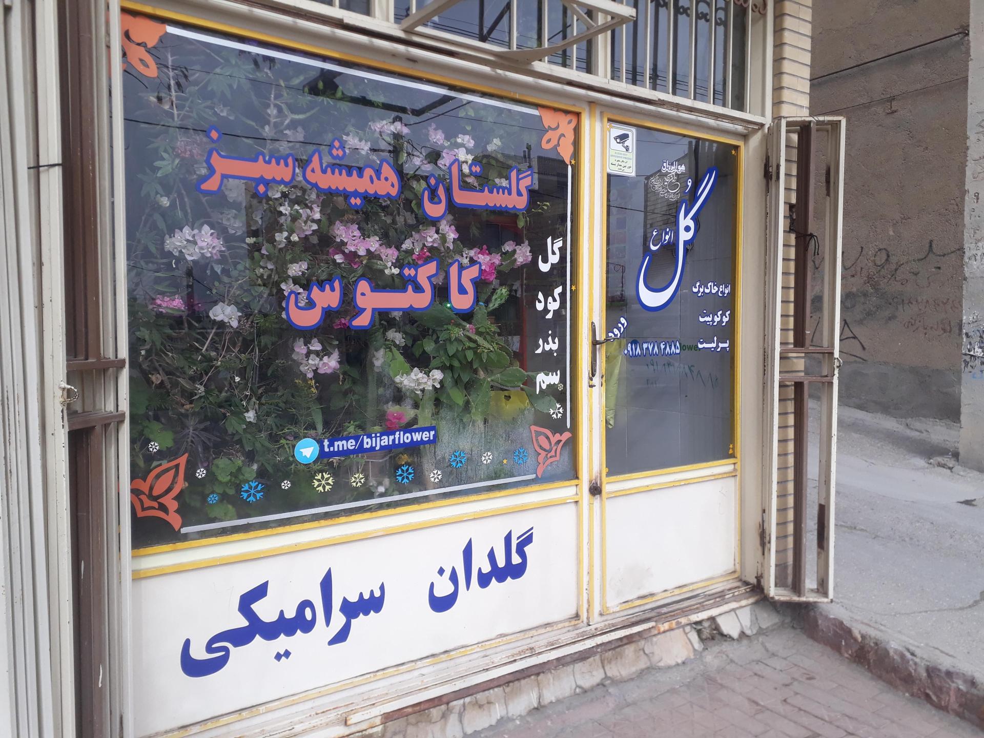 عکس گلستان همیشه سبز کاکتوس - بیژن ملاقدیمی