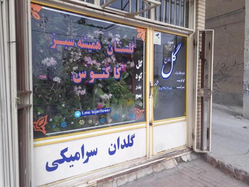 عکس گلستان همیشه سبز کاکتوس - بیژن ملاقدیمی