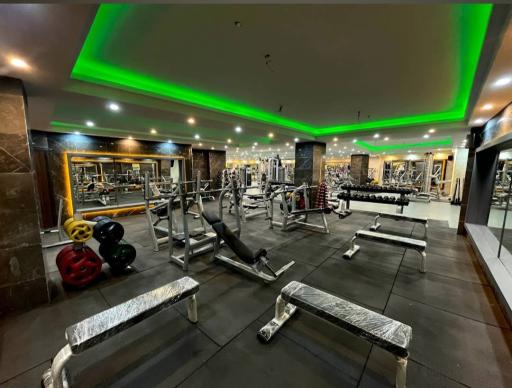 عکس باشگاه آترینا ۳