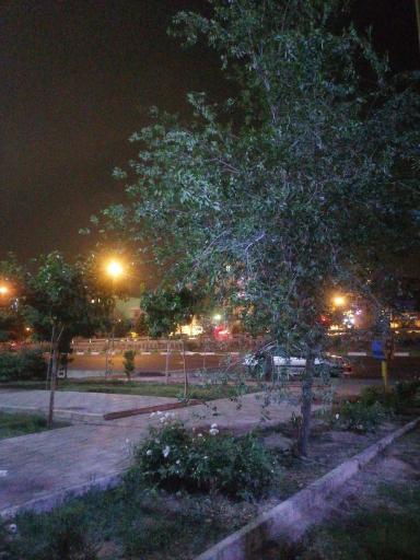 عکس پارک سمیه