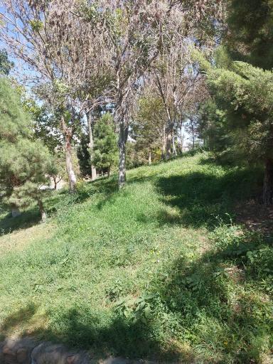 عکس کوهستان پارک شیرکوه