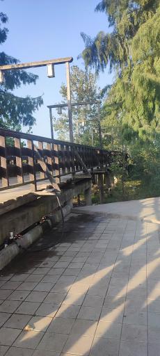 عکس پل چوبی کیاشهر