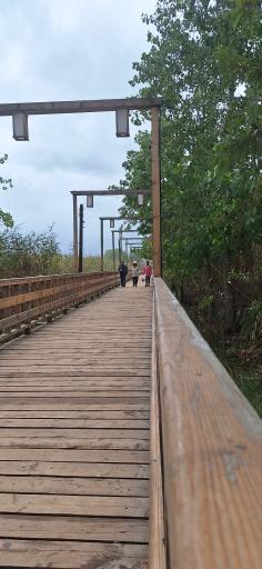 عکس پل چوبی کیاشهر