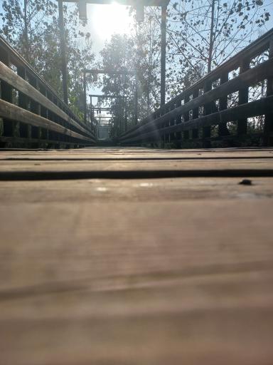 عکس پل چوبی کیاشهر