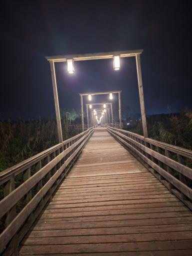 عکس پل چوبی کیاشهر