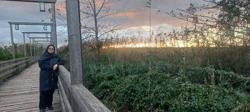 عکس پل چوبی کیاشهر