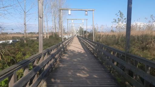 عکس پل چوبی کیاشهر